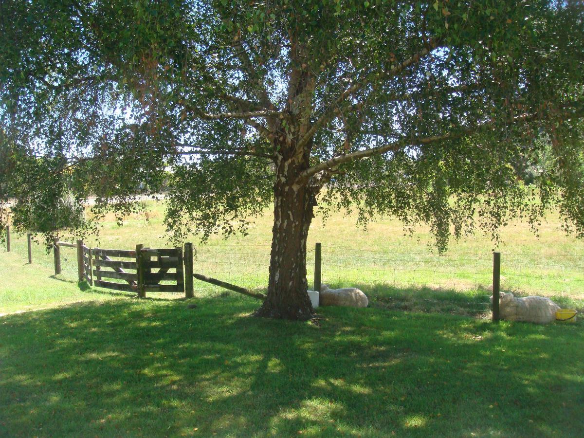 Woolshed Bed & Breakfast Takaka Luaran gambar